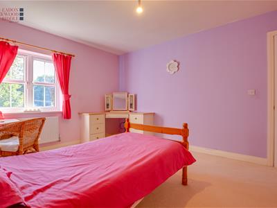Picture 13